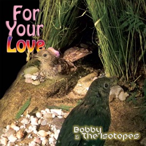 For Your Love Album Artwork